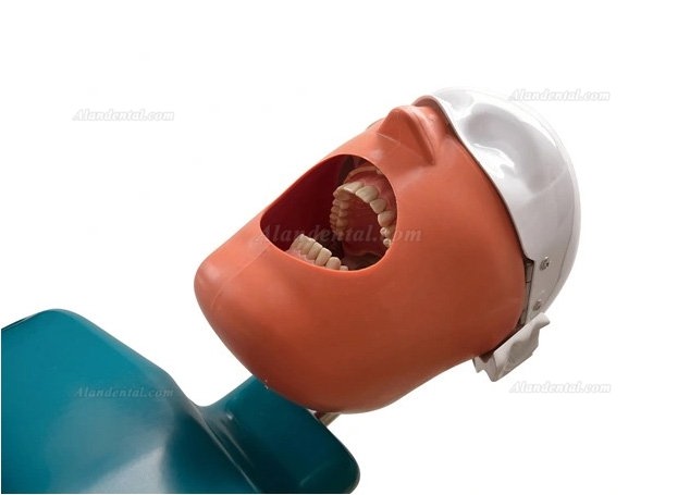 Jingle JG-A1 Dental Students Simulation Unit Compatible Nissin Kilgore/Frasaco